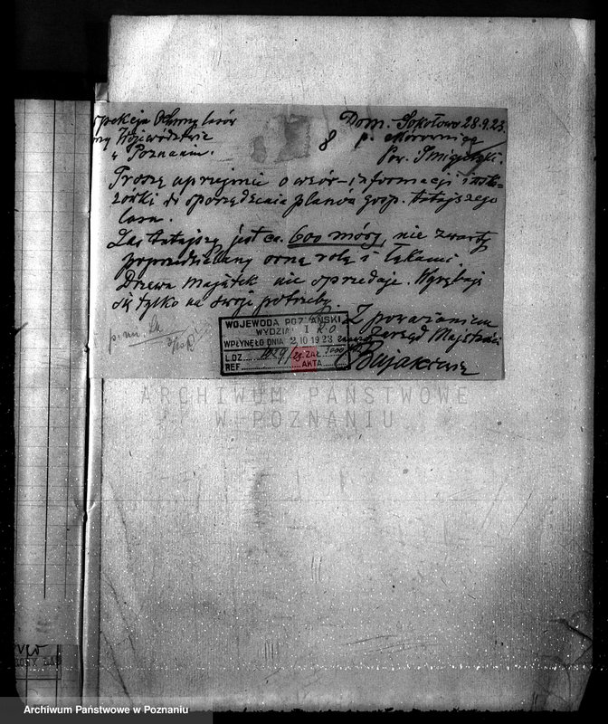 Obraz 12 z jednostki "Majętność leśna Sokołowice powiat kościański"