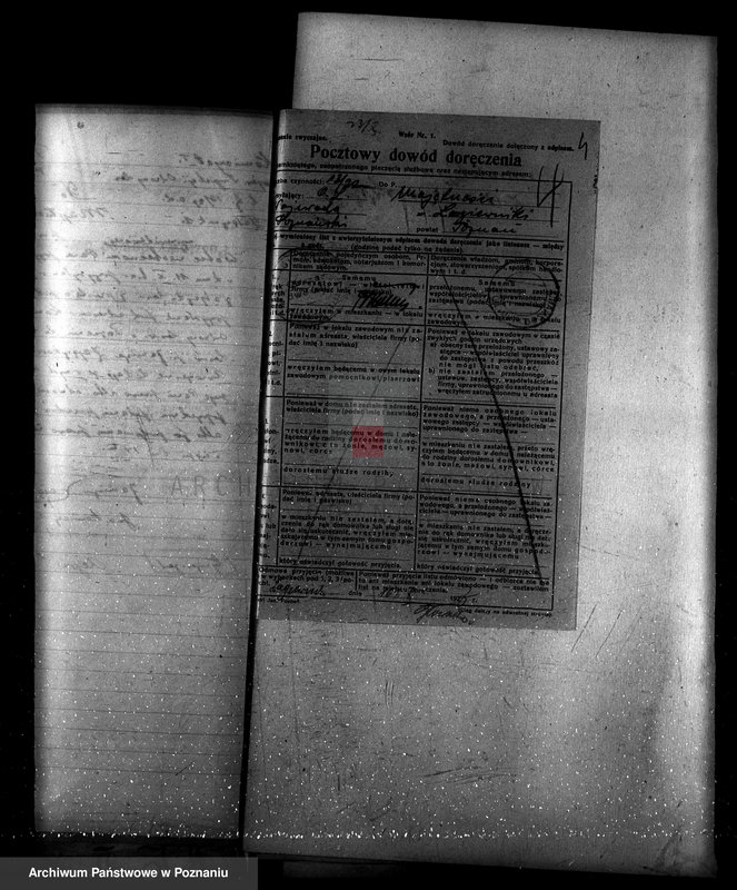 Obraz 8 z jednostki "Nadzór nad gospodarką w lasach majętności Łagiewniki"