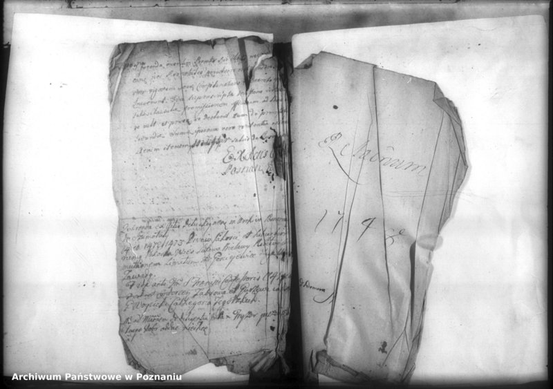 Obraz 5 z jednostki "Relationes [protocollon]"