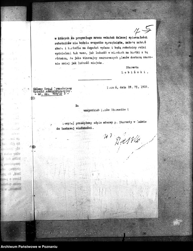 Obraz 11 z jednostki "Kartofle"