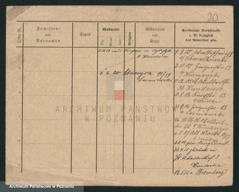 Obraz 20 z jednostki "Lewandowski (żonaci i wdowy)"