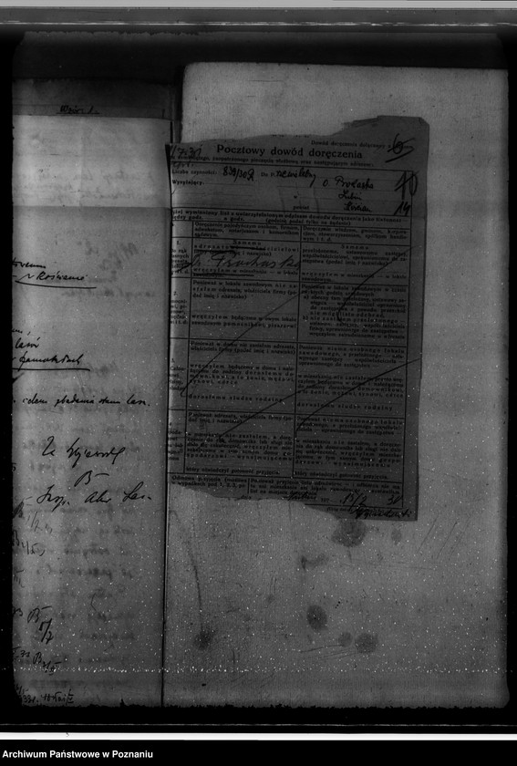 Obraz 18 z jednostki "Nadzór nad gospodarką w lasach O.O. Benedyktynów w Lubiniu powiat kościański"