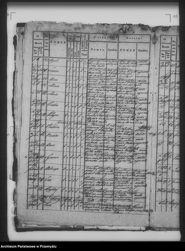 Obraz 13 z jednostki "[Kopie ksiąg metrykalnych parafii Żabcze Murowane z filią Bezejów (dekanat Bełz)]"