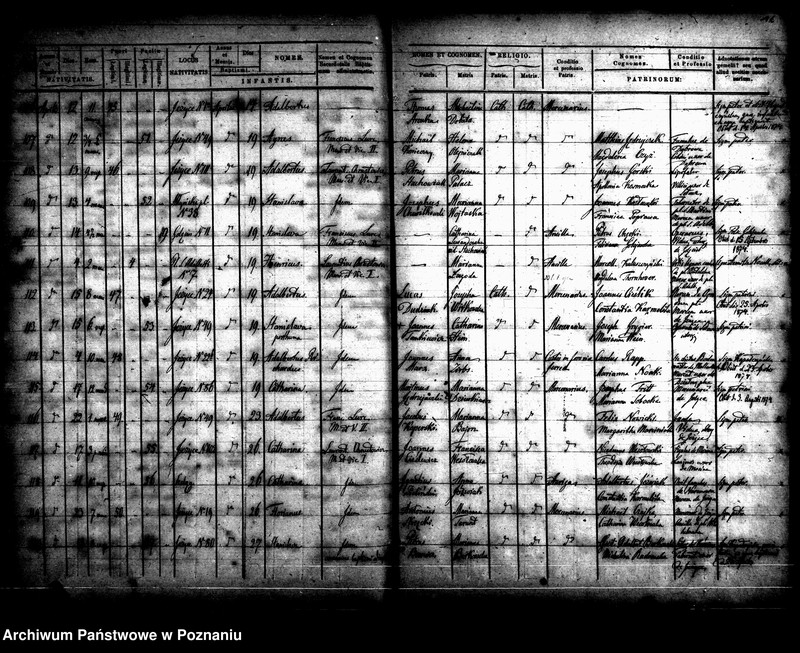 Obraz 12 z jednostki "Księga urodzin"