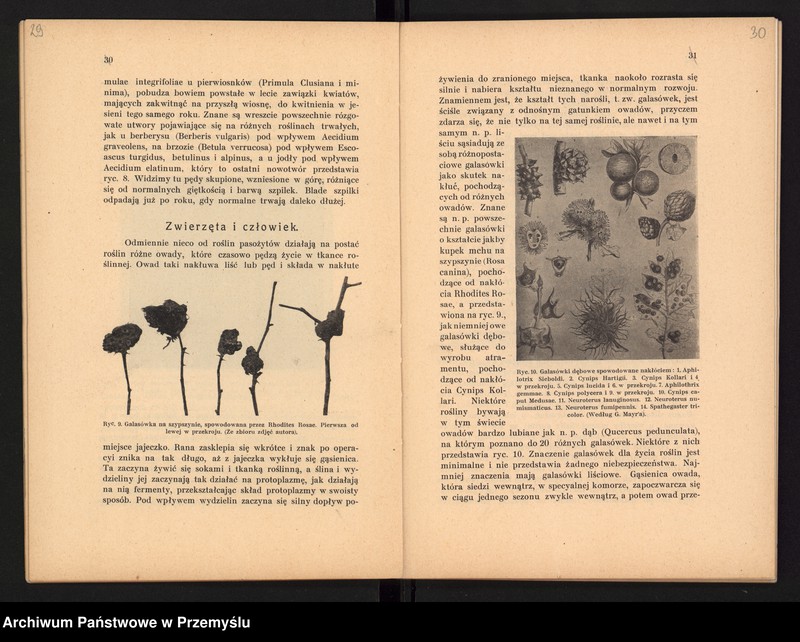 image.from.unit.number "V Sprawozdanie Dyrekcji Prywatnego Gimnazjum im. Juliusza Słowackiego w Czortkowie i Zarządu Towarzystwa Szkoły Średniej utrzymującego Gimnazjum za rok szkolny 1913/14"