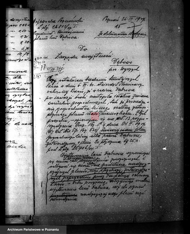 Obraz 20 z jednostki "Majętność leśna Dębowo powiat wyrzyski"