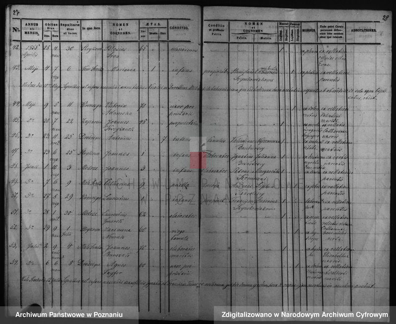 Obraz 19 z jednostki "Duplicatus baptisatorum, copulatorum, mortuorum"