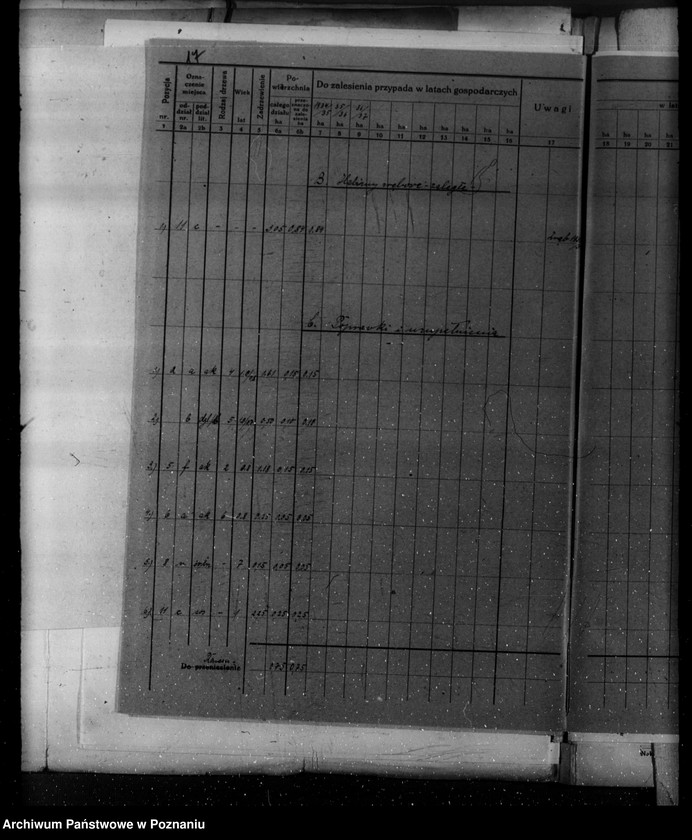 Obraz 20 z jednostki "Plan urządzania gospodarstwa leśnego dla lasu majętności Kopaczewo- Rogaczewo powiat kościański"