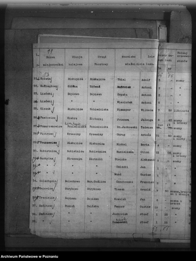 Obraz 17 z jednostki "Lasy do 30 ha na terenie powiatu poznańskiego"