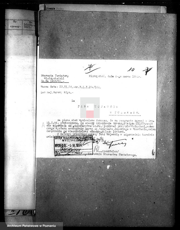 Obraz 14 z jednostki "Las majątku Borowy Młyn powiat międzychodzki"