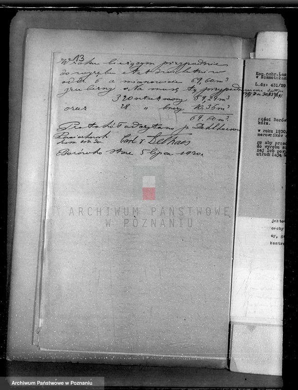 Obraz 17 z jednostki "Majętność Borówko Stare /nadzór nad gospodarką leśną/"