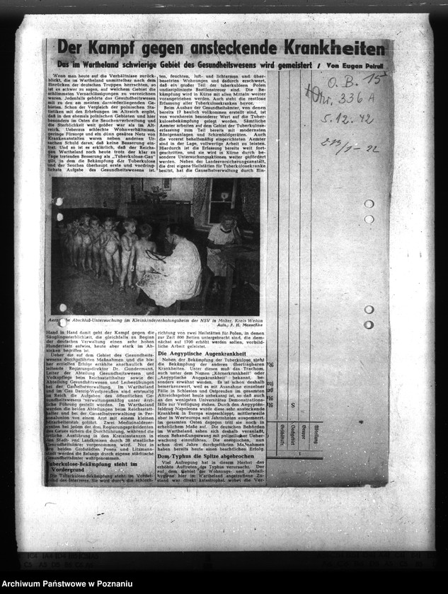 Obraz 19 z jednostki "Trichinose, Typhus"