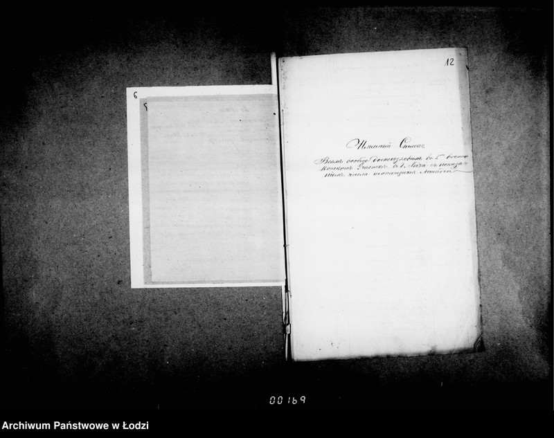 Obraz 12 z jednostki "O lošadjach v gor. Lodzi"