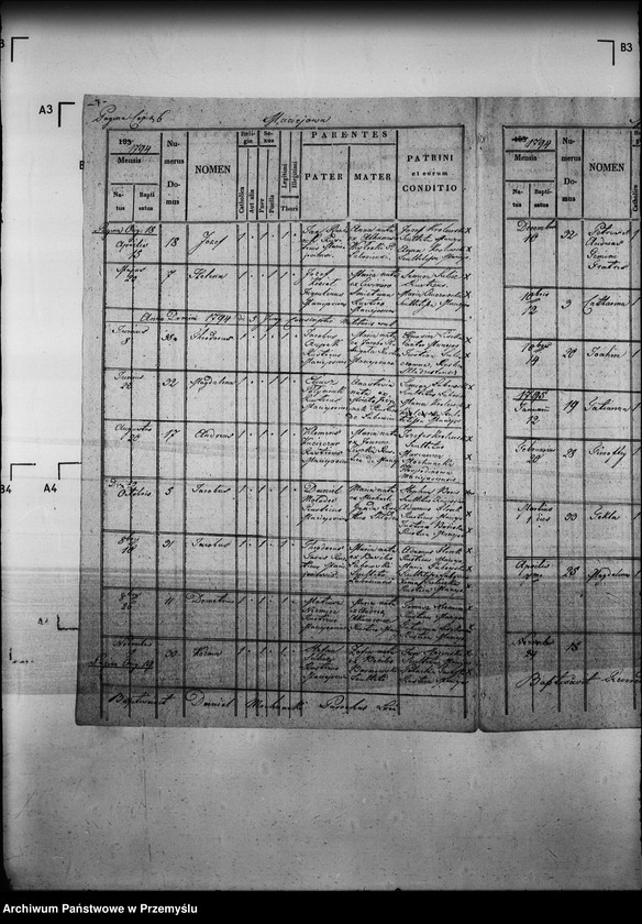 Obraz 11 z jednostki "[Kopie ksiąg metrykalnych parafii Maciejowa z filiami Barnowiec, Czaczów, Margoń, Składziste, Roztoka Mała, Rybień, Złotne (dekanat Muszyna)]"