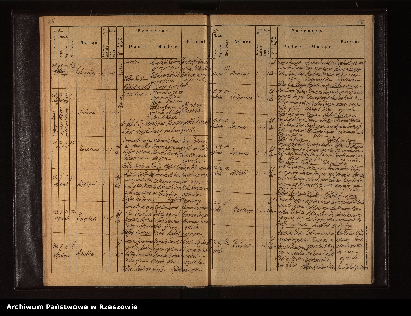 image.from.unit.number "Księga urodzeń dla miejscowości Niebieszczany"