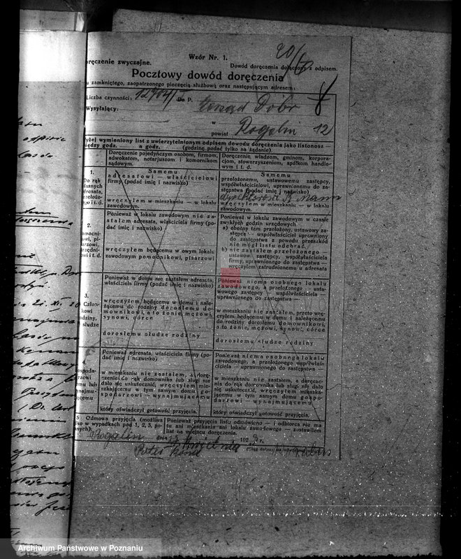 Obraz 16 z jednostki "Majętność leśna Jeżewo w powiecie gostyńskim"