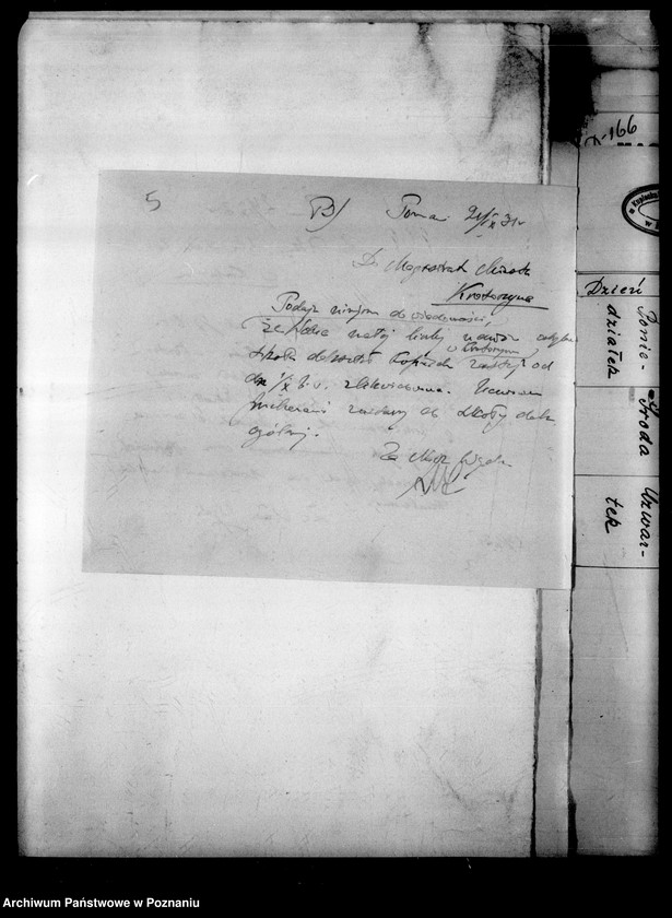 Obraz 8 z jednostki "Szkoła Dokształcająca Kupiecka - Krotoszyn"