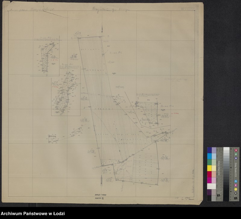 Obraz 1 z jednostki "Plan˝ zemel´ Boguslavice gmina Krušina, novoradomskago uezda"