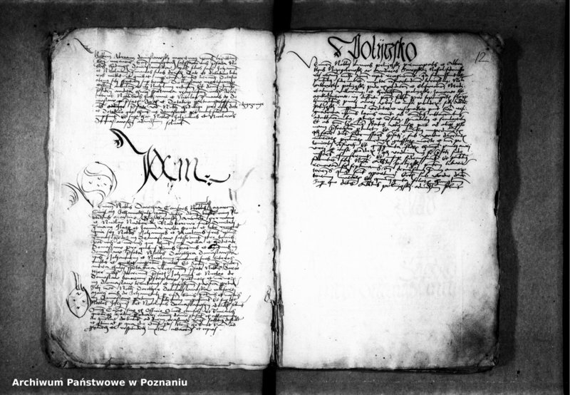 Obraz 17 z jednostki "Inscriptiones, relationes, decreta [inducta]"