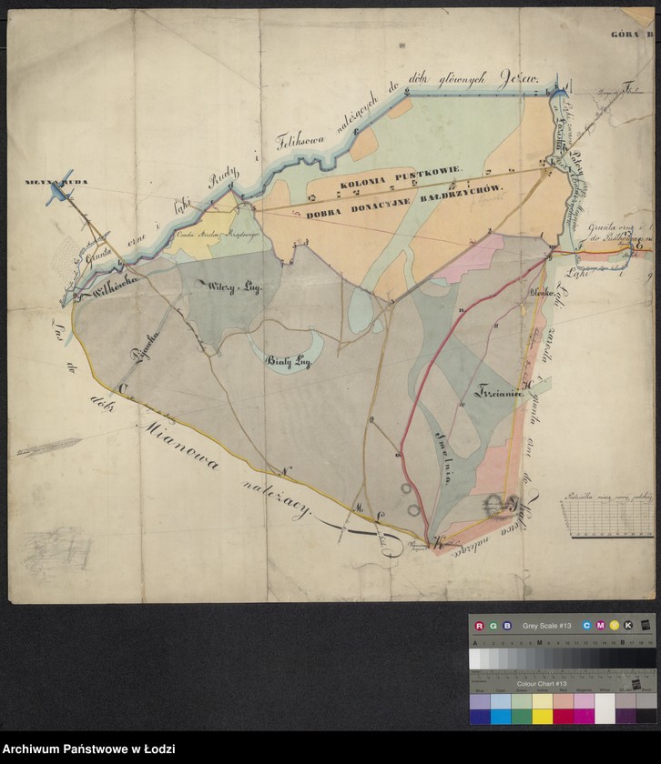 Obraz 1 z jednostki "Plan kontrowersu między donrami donacyjnymi Bałdrzychów oraz wsiami Mianów i Kałów"