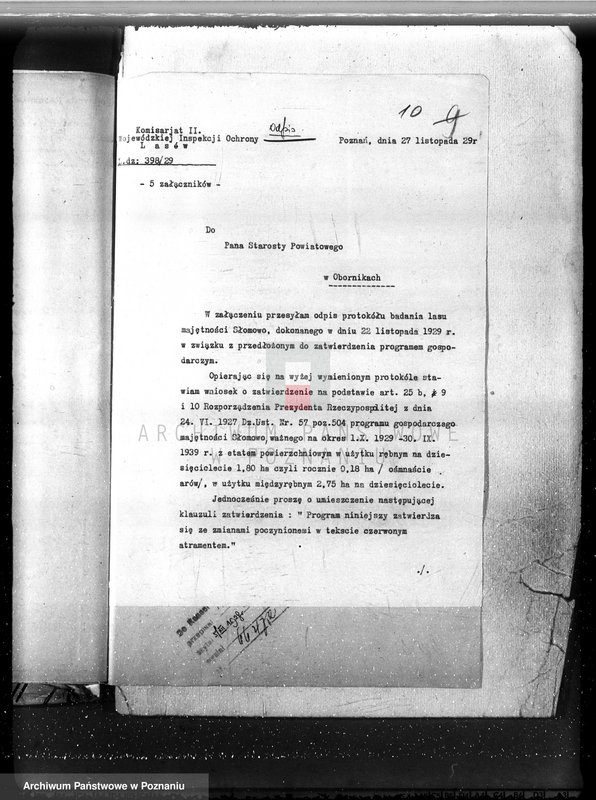 Obraz 14 z jednostki "Las majętność Słomowo-Pacholewo powiat obornicki"