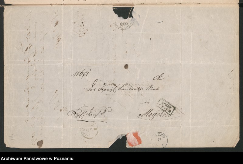 Obraz 16 z jednostki "A. betr. die Familie von Śmiegocki /Michael, Stanislaus und Anton/"