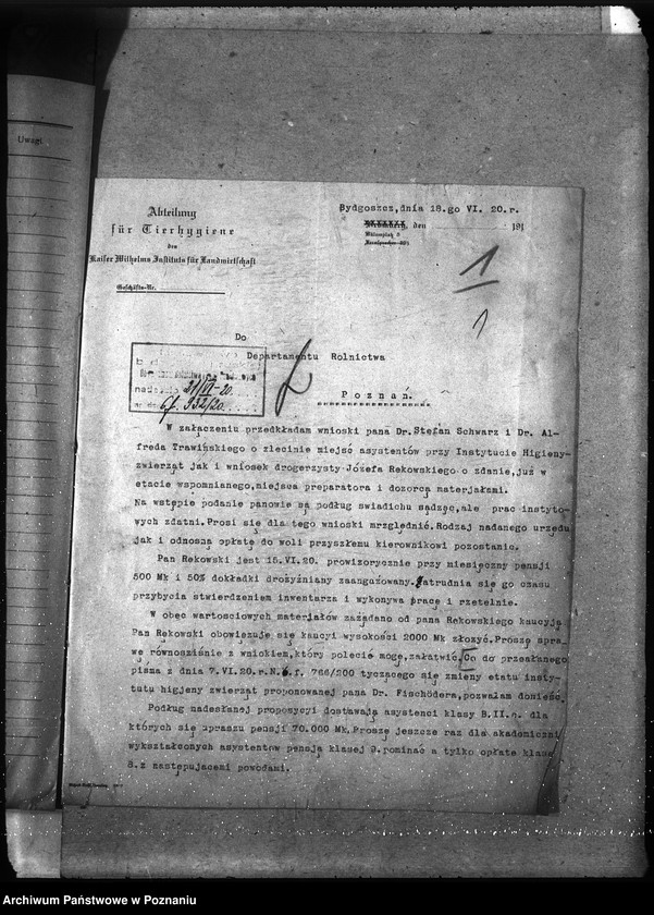 Obraz 5 z jednostki "Instytut Higieny Zwierząt w Bydgoszczy"