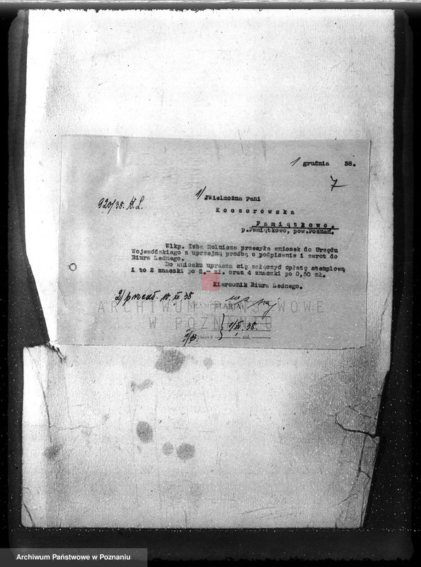 Obraz 11 z jednostki "Majętność /leśna/ Pamiątkowo powiat obornicki"