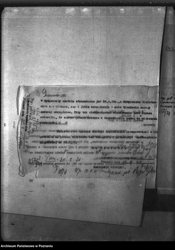 Obraz 13 z jednostki "Zaraza płucna - Bydgoszcz"