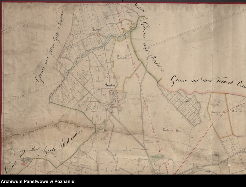 image.from.unit.number "Karte von der Grafschaft Jarocin nebst den dazu gehörenden Vorwerken und Forsten Boguslaw, Ciswica und Roszków, Dąbrowo, Czylcz und Radolin im Kreise Pleschen"