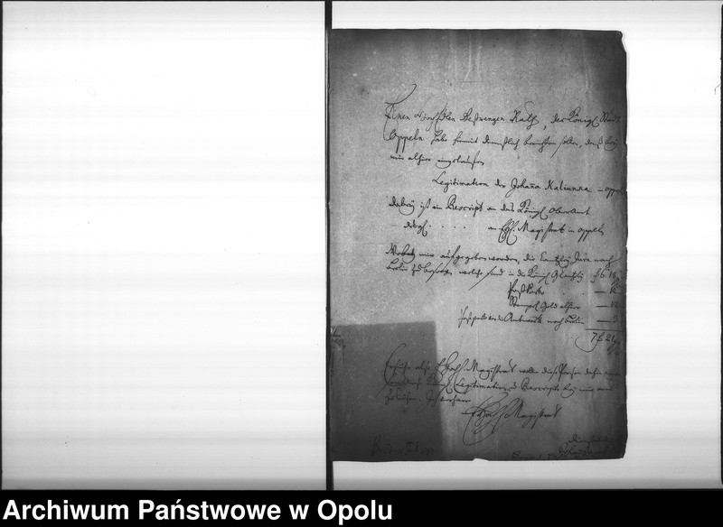 Obraz 5 z jednostki "Acta des Magistrats zu Oppeln betreffend die Legitimation unehelich erzeugter Kinder und Personen Vol. I"