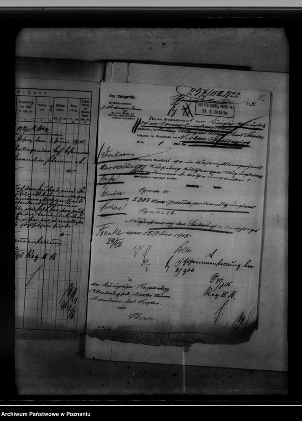 Obraz 19 z jednostki "Sprawy katastralne Domeny Nochowo"