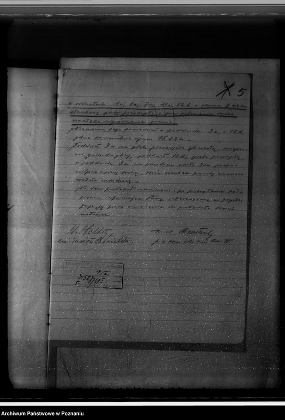 Obraz 9 z jednostki "Nadzór nad gospodarką w lasach majętności Jezierzyce"