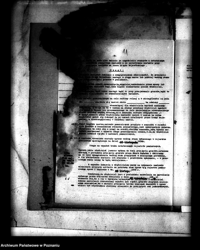 Obraz 15 z jednostki "Administracja przejściowa majątku Rataje powiatu konińskiego"