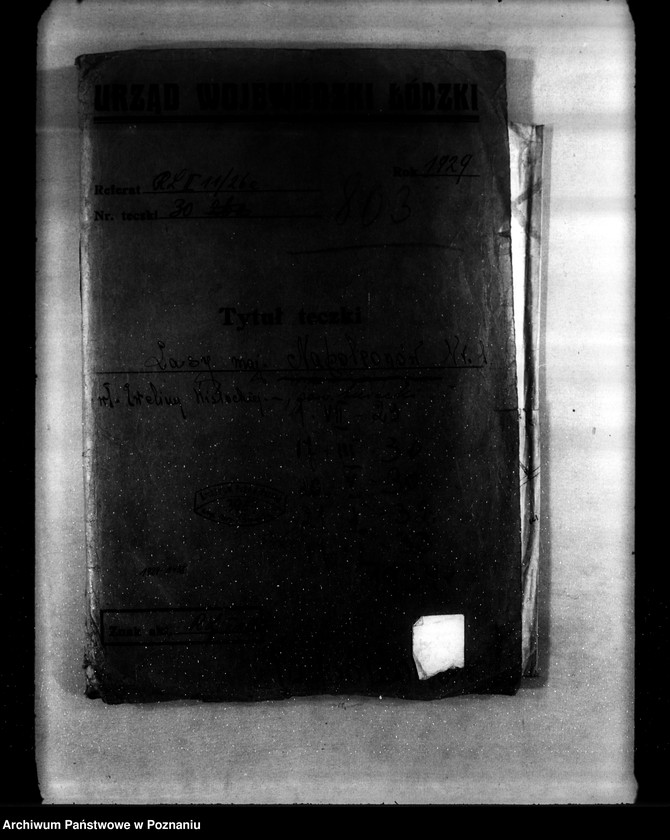 Obraz 4 z jednostki "Las majątku Napoleonów nr 1 własność Eweliny Wisłockiej powiat turecki"