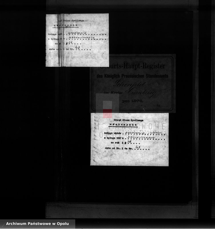 image.from.unit.number "Geburts-Haupt-Register Standesamts Schönfeld pro 1876"