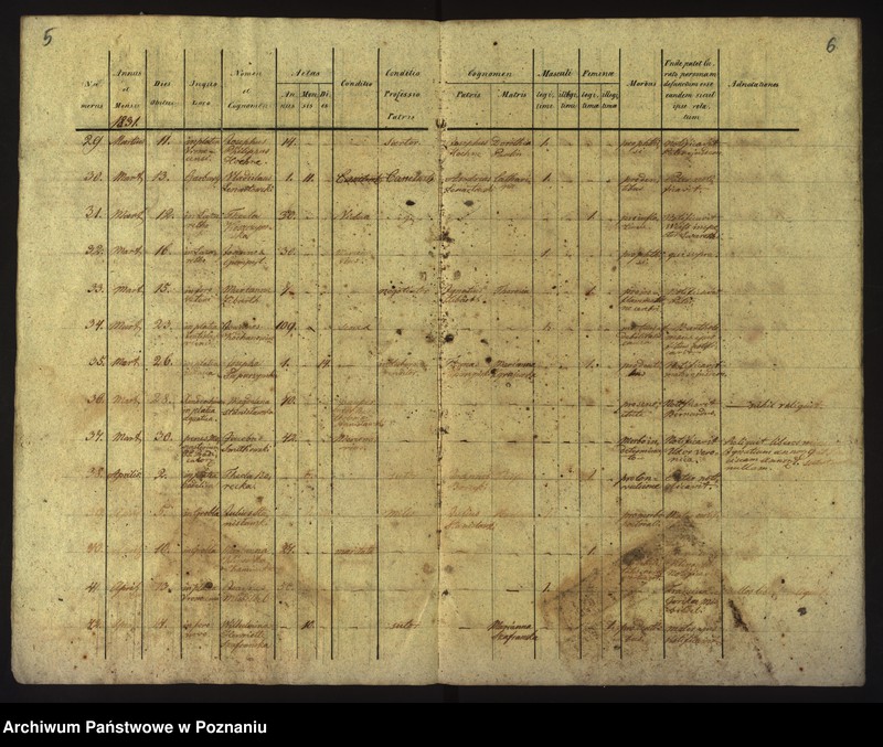 Obraz 6 z jednostki "Księga zgonów"