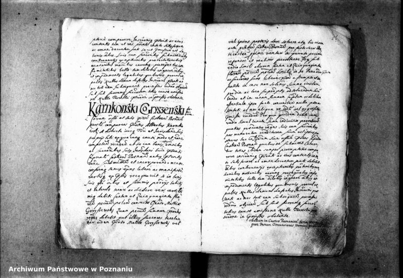 Obraz 10 z jednostki "Inscriptiones [inducta]"