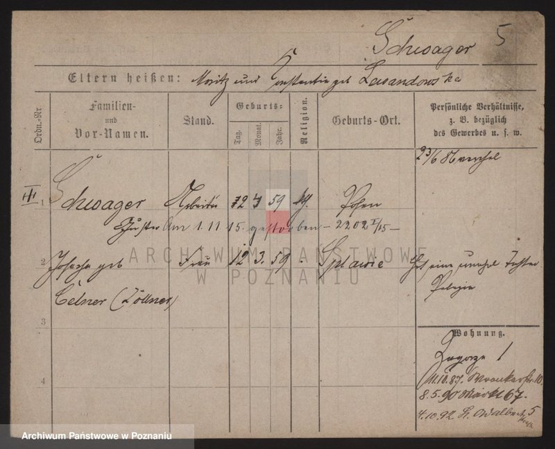 Obraz 13 z jednostki "Szwabich - Szwaracka"