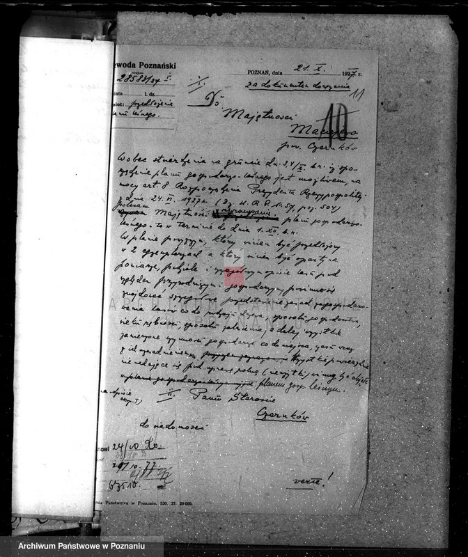 Obraz 15 z jednostki "Nadzór nad lasami majętności Maciejewo w powiecie czarnkowskim"