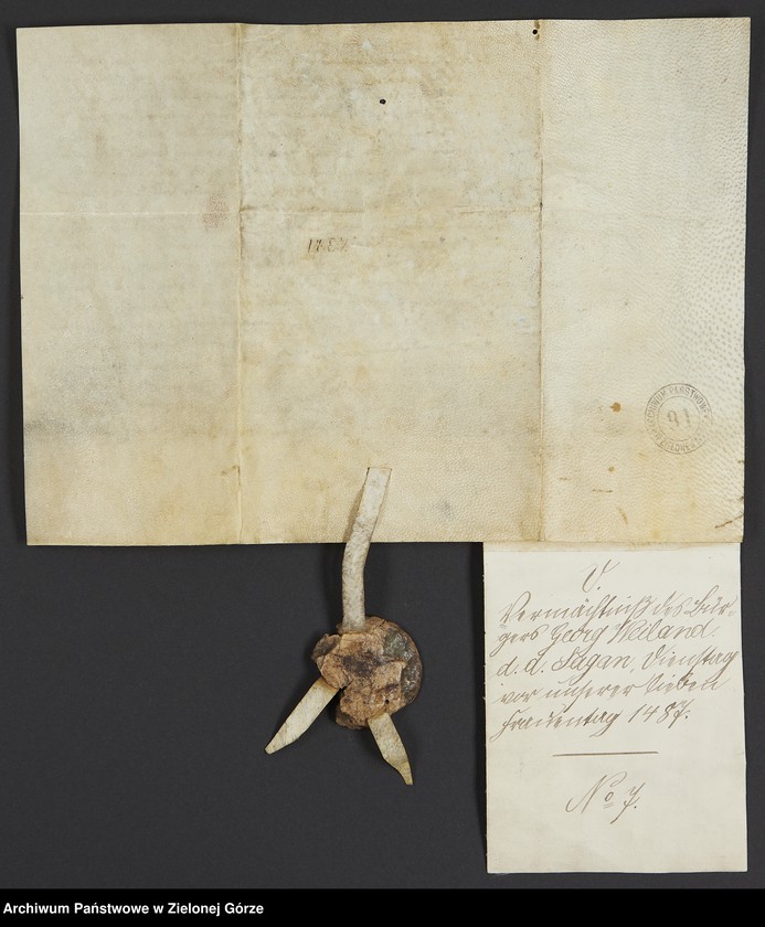 image.from.unit "Mattis Lauben, sędzia miejski i ławnicy poświadczają , że mieszczanin Grzegorz Wieland potwierdził darowanie mu części ojcowizny przez jego macochę Barbarę, obecnie żonę Jakuba Keppelsa."