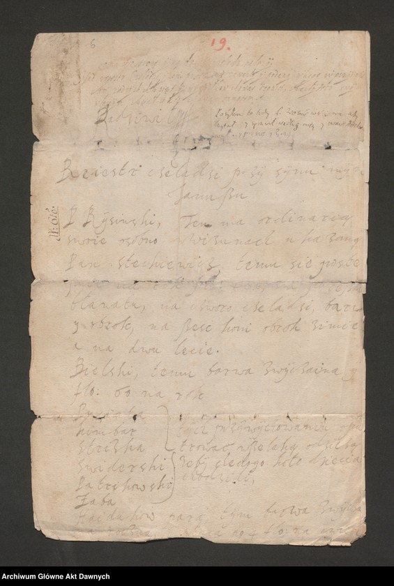 image.from.collection.number "Wychowanie Janusza Radziwiłła111"