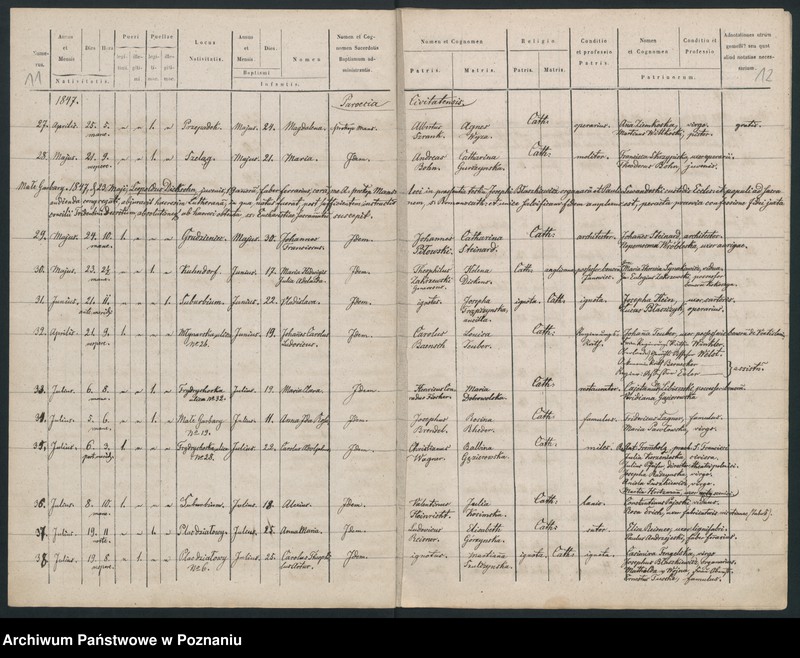 Obraz 8 z jednostki "Księga urodzeń"