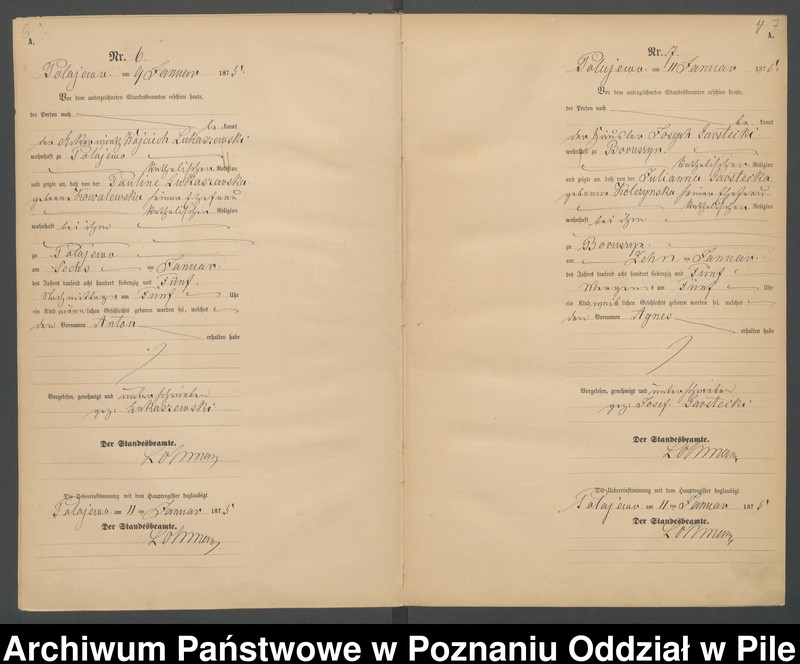 image.from.team "Urząd Stanu Cywilnego Połajewo"