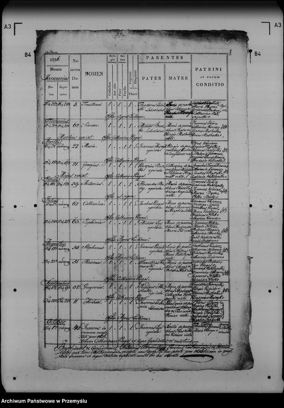 image.from.unit.number "[Kopie ksiąg metrykalnych parafii Miłków (dekanat Lubaczów)]"