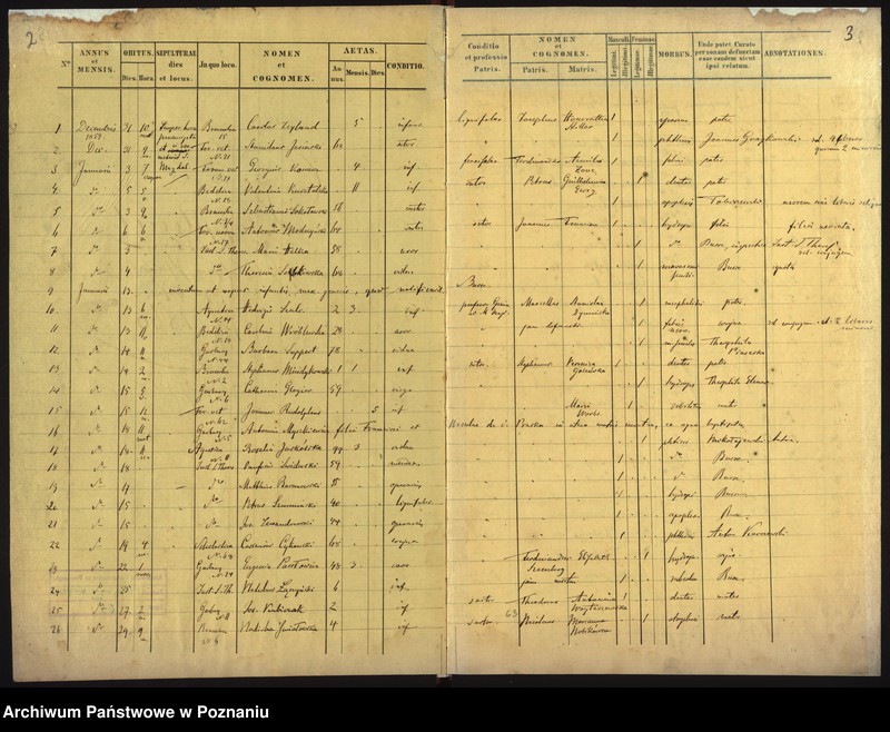 Obraz 4 z jednostki "Księga zgonów"