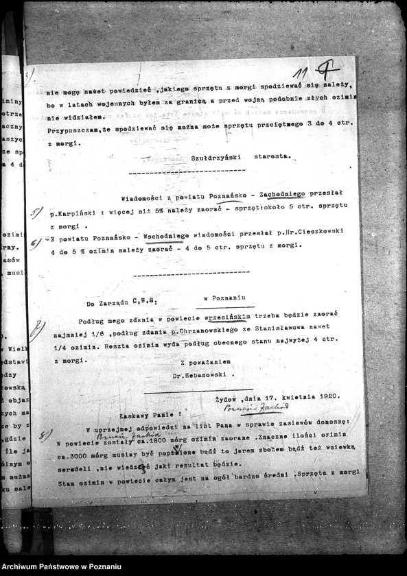 Obraz 15 z jednostki "Ziemiopłody - generalia"