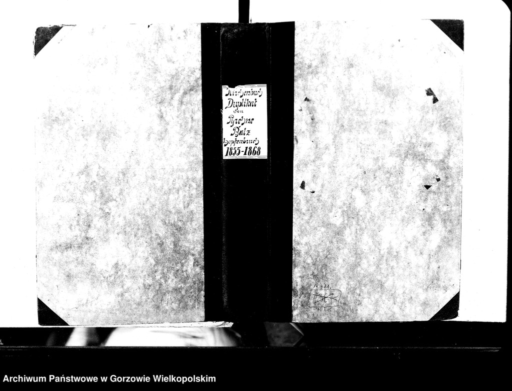 image.from.unit.number "Duplikate der Kirchenbücher von Pyrehne: Pyrehne (Pyrzany), Pyrehne Radewiese, Döllensradung (Nowiny Wielkie), Fichtwerder (Świerkocin), Hopfenbruch (Chmieliniec), Balz (Białcz), Kleinheide (Pszczelnik)"