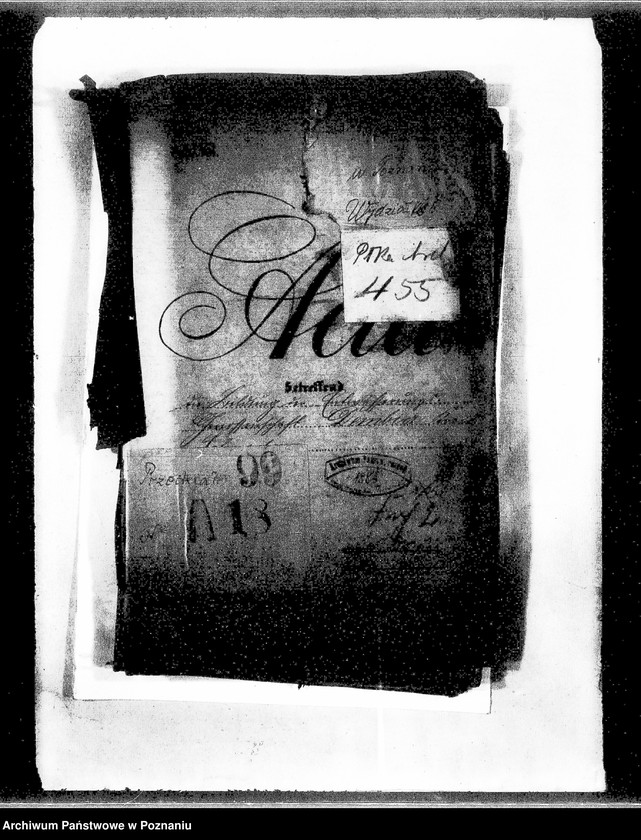 Obraz 4 z jednostki "Die Bildung der Entwaesserungsgenossenschaft Dembicz Kreis Schroda"