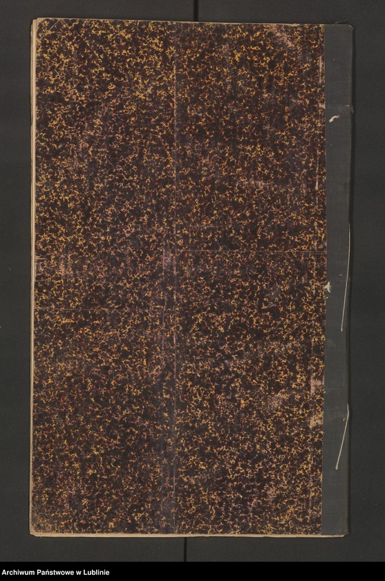 image.from.unit.number "Klucz Godziszewski. Egzakcjonarz pól i łąk w Okręgu Kraśnickim na rok 1887/88"